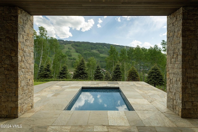 view of pool with a forest view, a patio area, and a pool