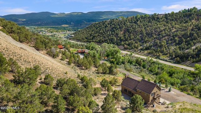 416 Eby Creek Rd, Eagle, CO 81631 - view of mountain background featuring a heavily wooded area