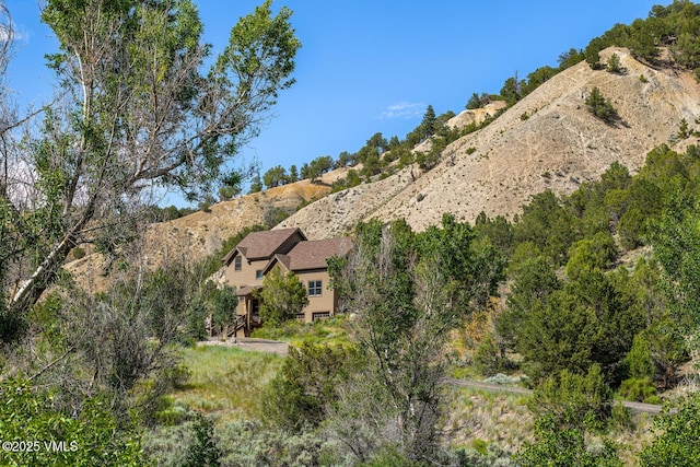416 Eby Creek Rd, Eagle, CO 81631 - mountain view