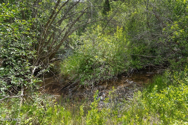 416 Eby Creek Rd, Eagle, CO 81631 - view of local wilderness