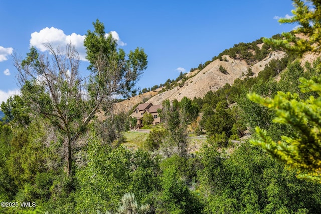 416 Eby Creek Rd, Eagle, CO 81631 - view of mountain background