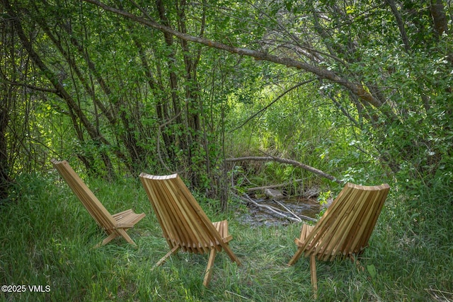 416 Eby Creek Rd, Eagle, CO 81631 - view of yard featuring a view of trees