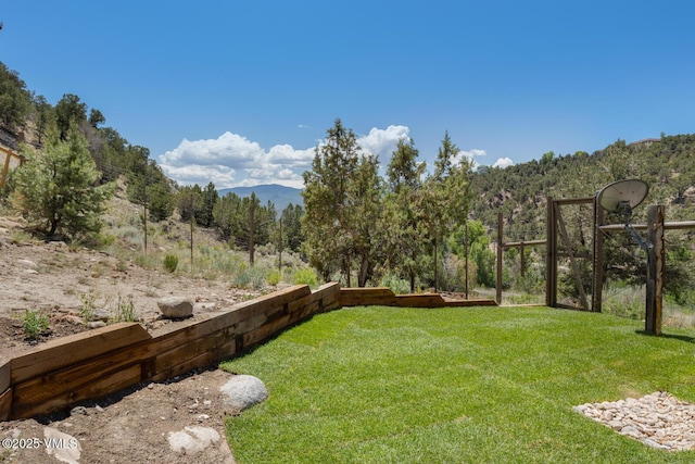 416 Eby Creek Rd, Eagle, CO 81631 - view of green lawn with a mountain view and a view of trees