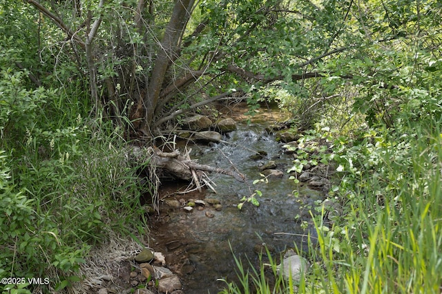 416 Eby Creek Rd, Eagle, CO 81631 - view of nature