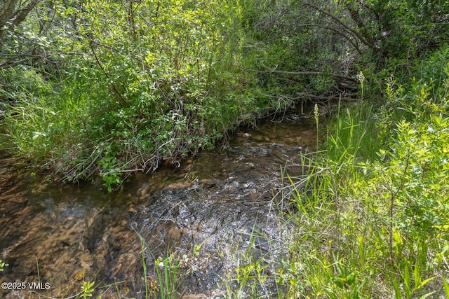 416 Eby Creek Rd, Eagle, CO 81631 - view of local wilderness
