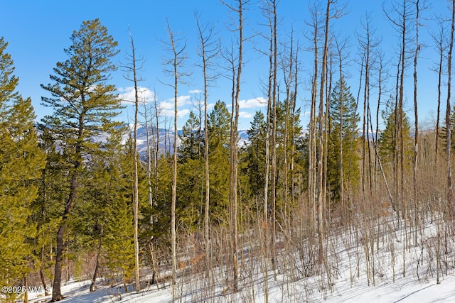 181 Black Bear Trl, Edwards, CO 81632 - snowy view featuring a wooded view