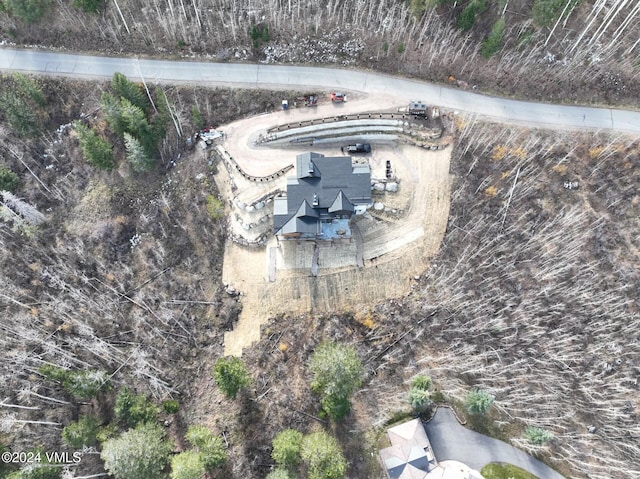 181 Black Bear Trl, Edwards, CO 81632 - aerial view