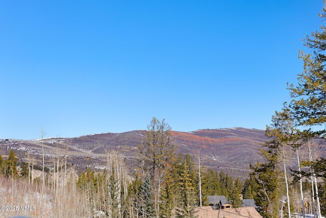 181 Black Bear Trl, Edwards, CO 81632 - view of mountain feature