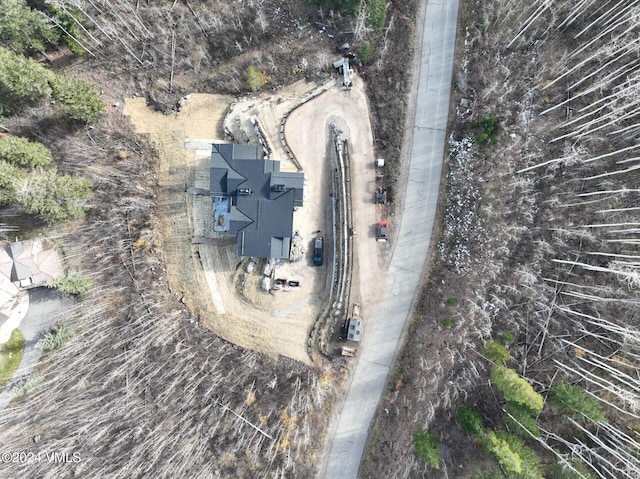181 Black Bear Trl, Edwards, CO 81632 - bird's eye view