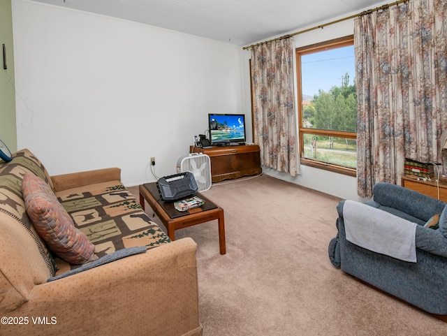 429 Railroad Ave, Gypsum, CO 81637 - photo 6