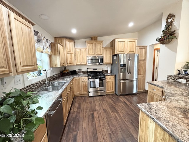66 Bluegill Loop, Gypsum, CO 81637 - kitchen featuring stainless steel appliances, a sink, light brown cabinets, dark wood-style flooring, and lofted ceiling