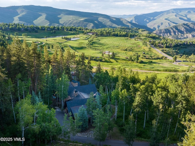 140 Elk Woods Rd, Edwards, CO 81632 - view of mountain background