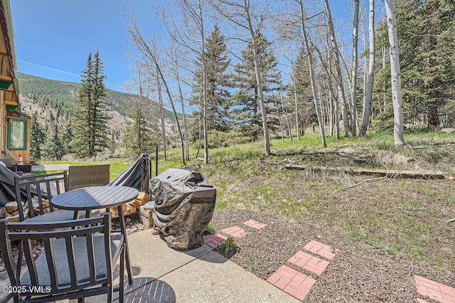 view of yard with a patio area and a mountain view