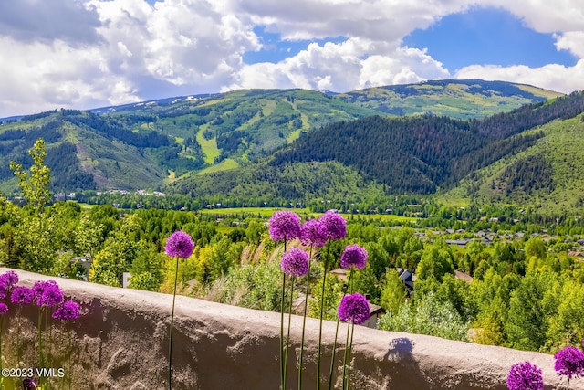 767 Charolais Cir, Edwards, CO 81632 - mountain view featuring a forest