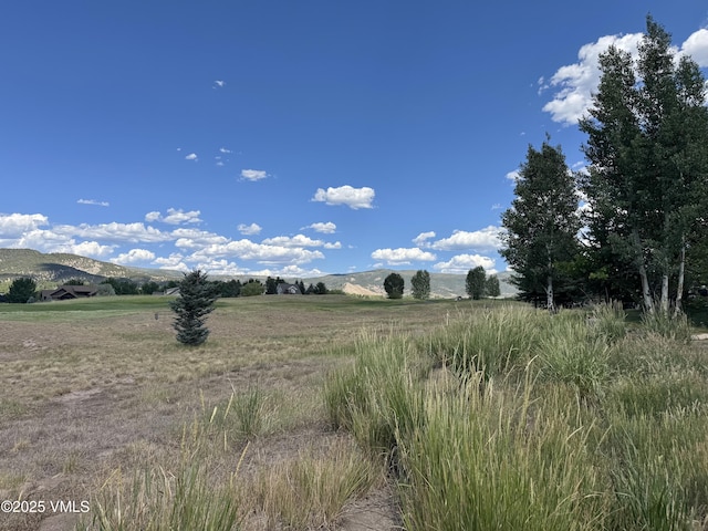 13 Sawmill Cir, Eagle, CO 81631 - photo 8