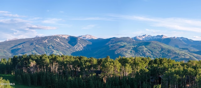 view of mountain feature