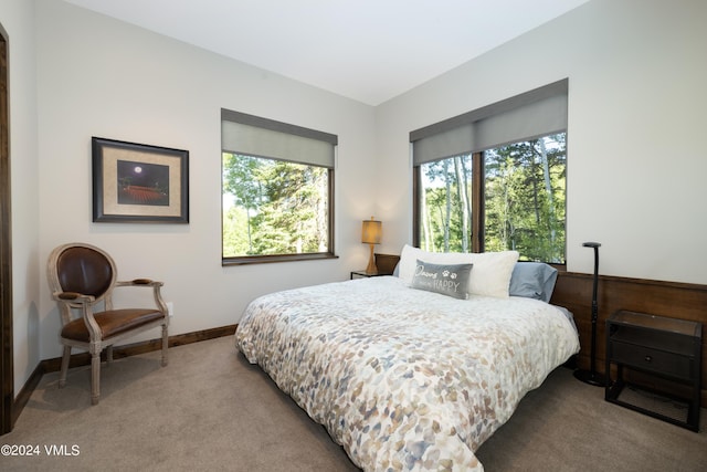 bedroom with carpet flooring and baseboards