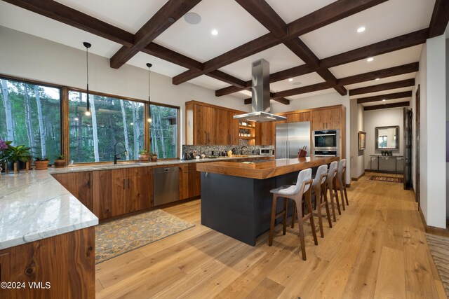 kitchen with hanging light fixtures, appliances with stainless steel finishes, light wood-style floors, and island range hood