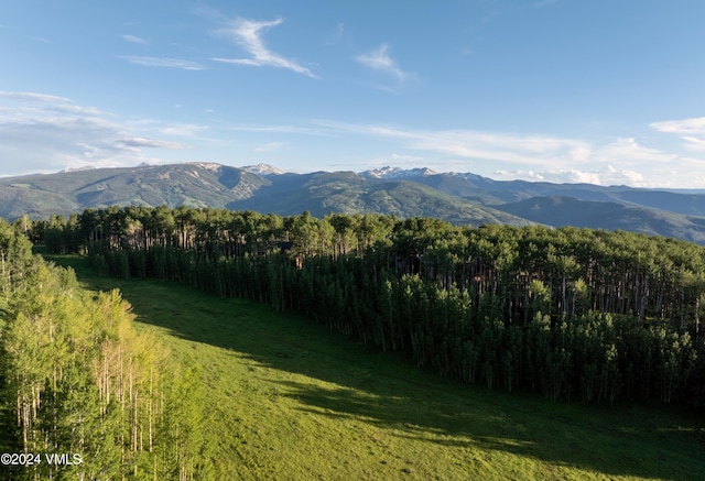 property view of mountains