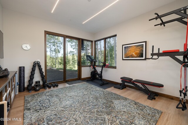 workout area featuring baseboards and wood finished floors