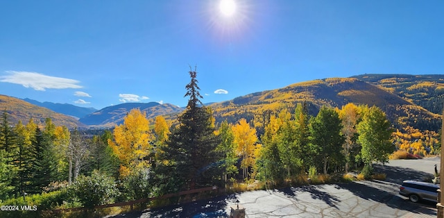 1370 Sandstone Dr # 12, Vail, CO 81657 - view of mountain backdrop with a forest
