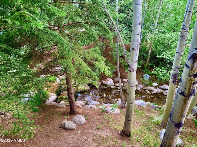 627 Sawatch Dr Unit 205, Edwards, CO 81632 - photo 27