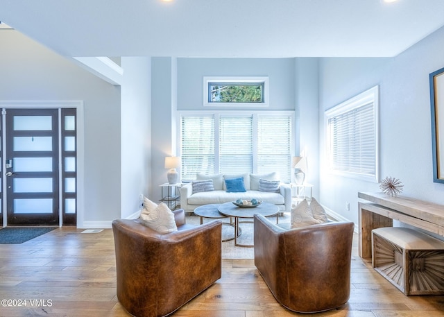 living room with wood-type flooring