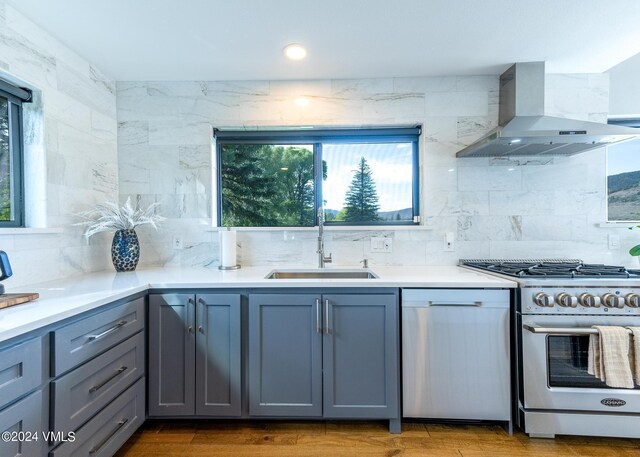 kitchen with sink, appliances with stainless steel finishes, gray cabinetry, ventilation hood, and decorative backsplash