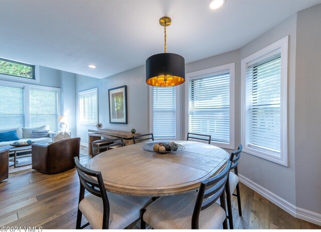 dining space with dark hardwood / wood-style floors