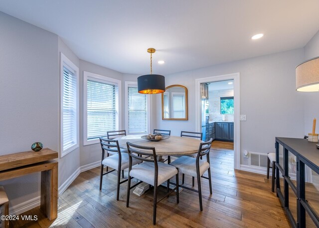 dining room featuring dark wood-type flooring