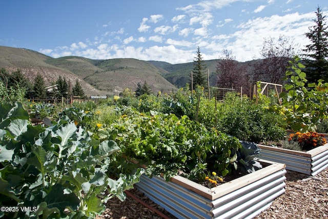 54 Columbine Cir Unit 14, Eagle-Vail, CO 81620 - view of mountain background