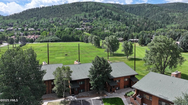 54 Columbine Cir Unit 14, Eagle-Vail, CO 81620 - view of mountain background featuring a forest