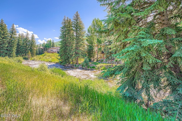 1750 S Frontage Rd W Unit E-3, Vail, CO 81657 - view of local wilderness