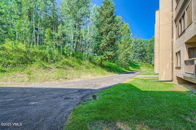 1650 Fallridge Rd Unit 216, Vail, CO 81657 - photo 21