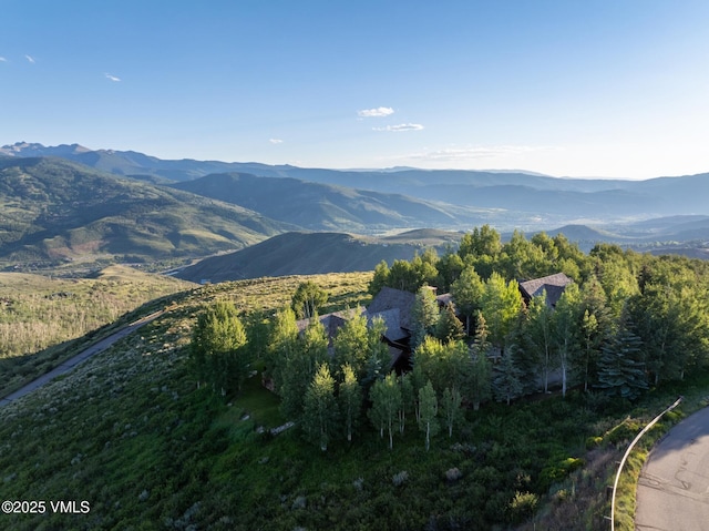 84 Wild Rose, Avon, CO 81620 - photo 42