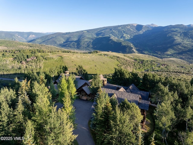 84 Wild Rose, Avon, CO 81620 - photo 44