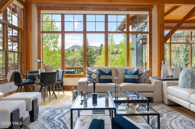 124 Grey Hawk Ln, Edwards, CO 81632 - living room with wood finished floors