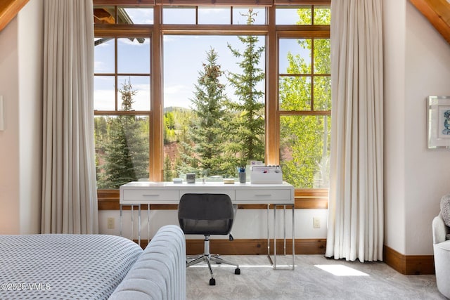 124 Grey Hawk Ln, Edwards, CO 81632 - office featuring carpet flooring and baseboards