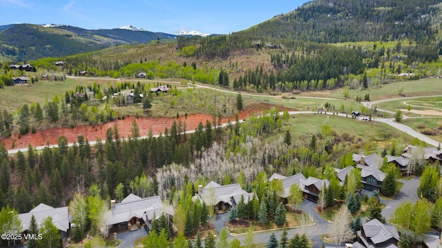 124 Grey Hawk Ln, Edwards, CO 81632 - view of property location featuring a mountainous background and a forest
