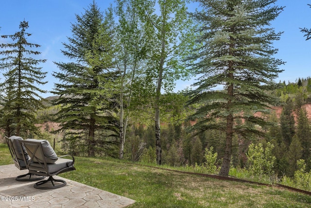 124 Grey Hawk Ln, Edwards, CO 81632 - view of green lawn with a view of trees and a patio area