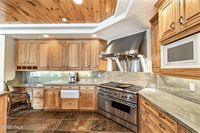 kitchen featuring appliances with stainless steel finishes, backsplash, a tray ceiling, light stone countertops, and wall chimney range hood