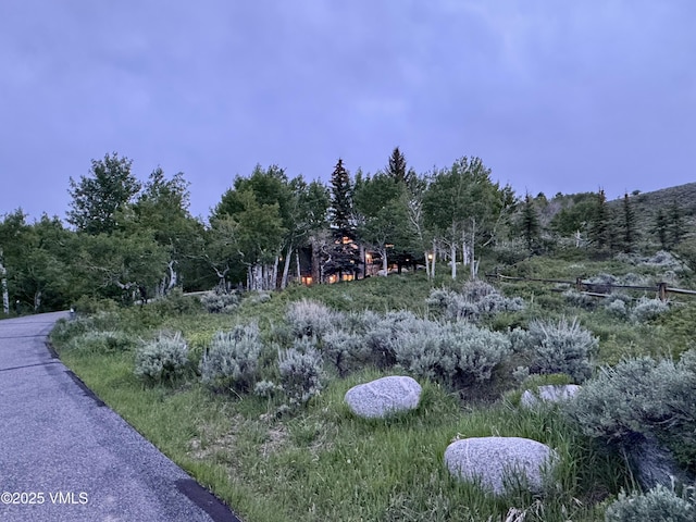 2005 Wildwood Rd, Avon, CO 81620 - view of yard