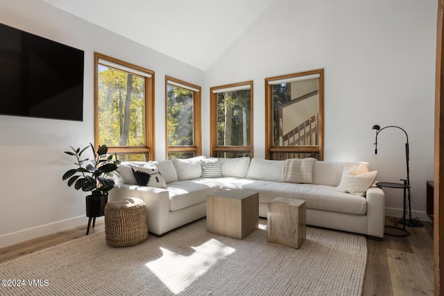 living room with hardwood / wood-style flooring and high vaulted ceiling