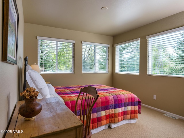 130 Morgan Dr Unit B, Edwards, CO 81632 - carpeted bedroom with multiple windows and baseboards