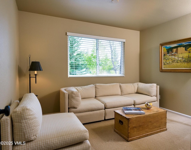 130 Morgan Dr Unit B, Edwards, CO 81632 - living room featuring light carpet and baseboards