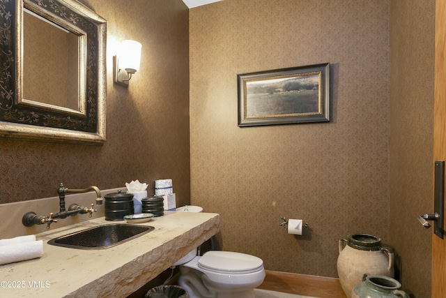 bathroom with toilet and sink