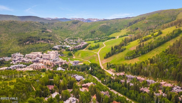 60 Elk Track Ct, Beaver Creek, CO 81620 - view of property location with a mountain backdrop