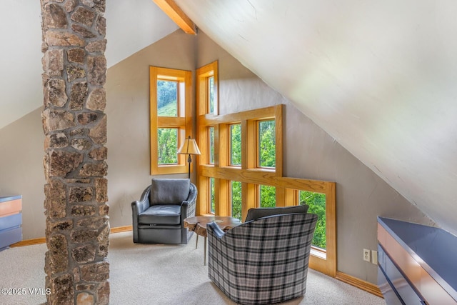 60 Elk Track Ct, Beaver Creek, CO 81620 - living area featuring healthy amount of natural light and carpet flooring