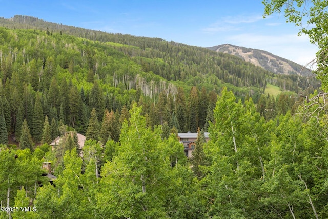 60 Elk Track Ct, Beaver Creek, CO 81620 - mountain view with a heavily wooded area