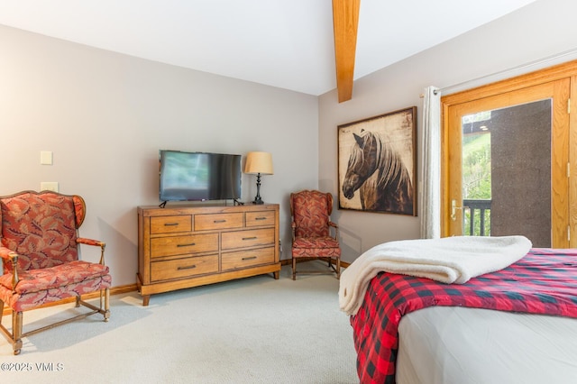 60 Elk Track Ct, Beaver Creek, CO 81620 - bedroom with carpet floors
